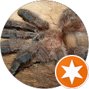 lysakrawcowa profile picture