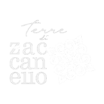 Logo-Zaccanello